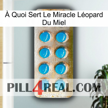 À Quoi Sert Le Miracle Léopard Du Miel new09